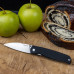 Складний ніж Ruike P662-B сталь 14C28N довжиною 7.4 см вагою 66 г форма леза wharncliffe