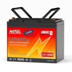 Акумулятор LiFePO4 MOSEWORTH 12V 100 Ah Smart Bluetooth 1280 Wh BMS 100 A вес 11 кг для інвертора та човна