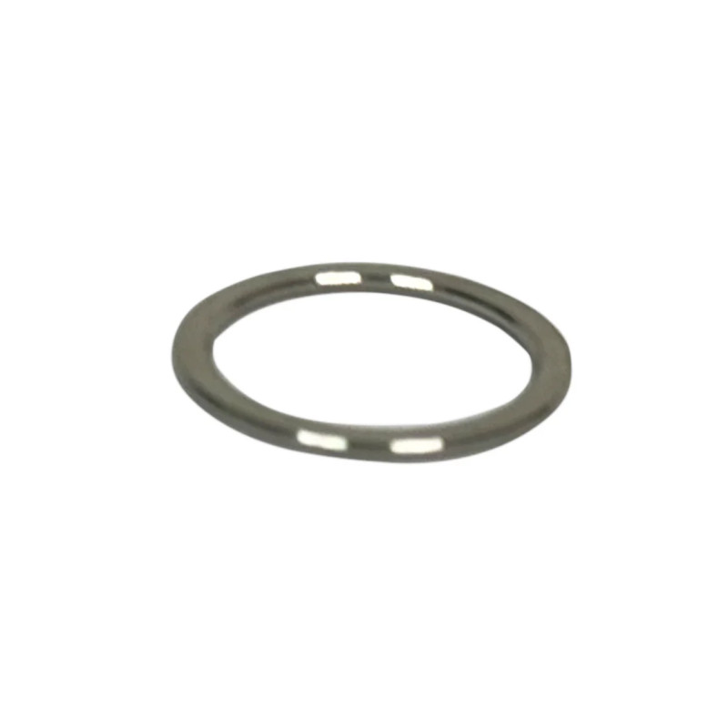 Motor Gasket (02-002-13069)