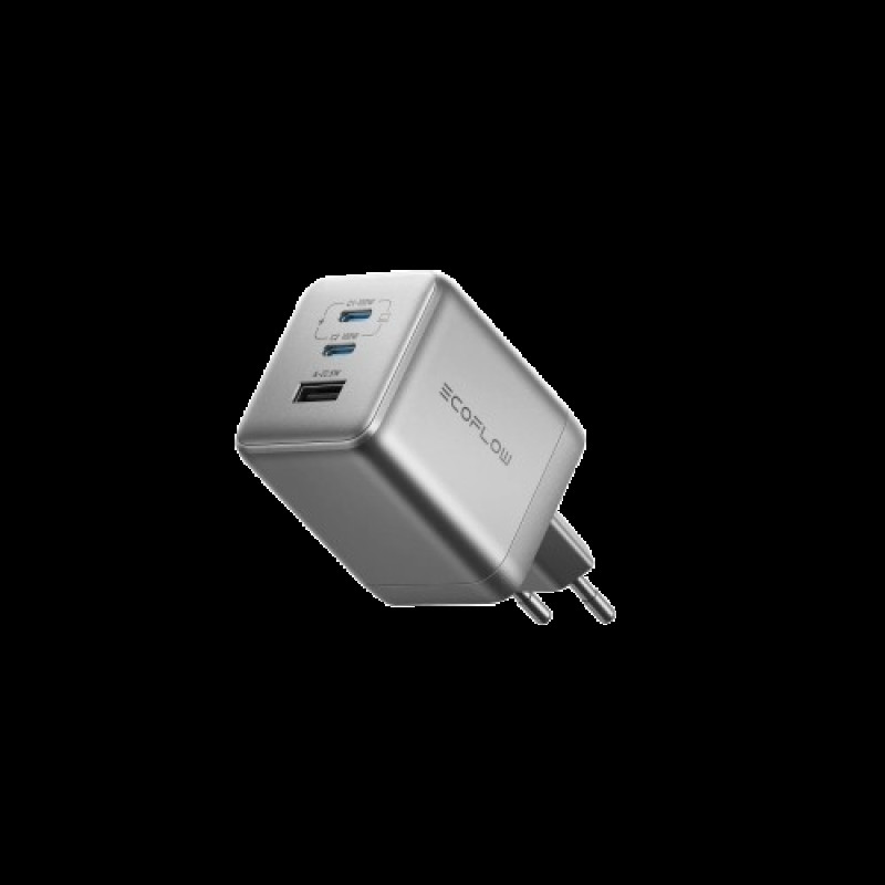 Зарядний пристрій EcoFlow RAPID Pro Charger 100W