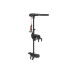 Електромотор Haswing Protruar 1.0 к.с. 65 lbs 12В безщітковий рульове управління 600 Вт для тролінгу